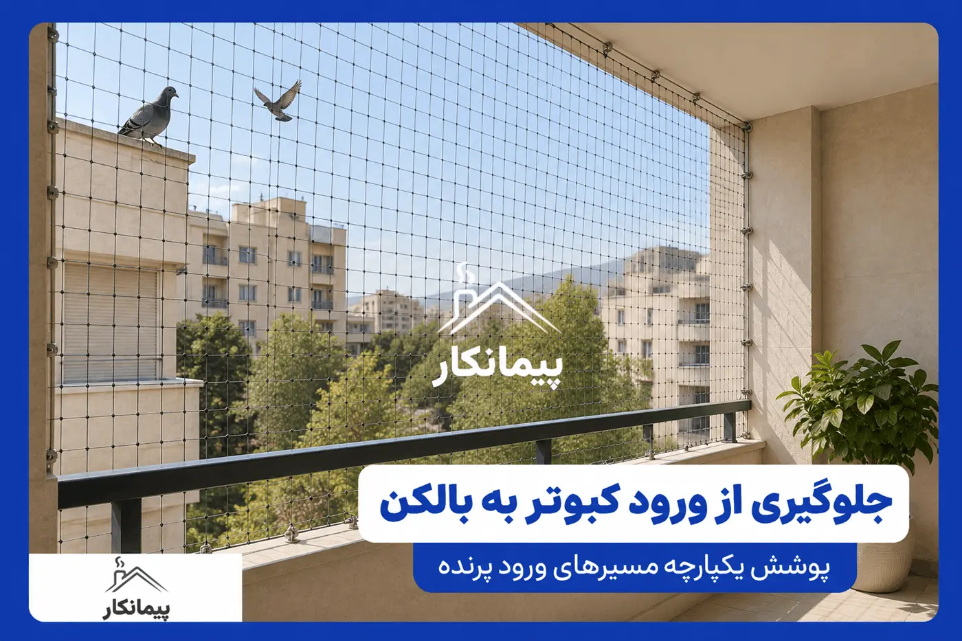 توری ضد پرنده در دهانه بالکن با کبوترهای بیرون از فضای محافظت شده